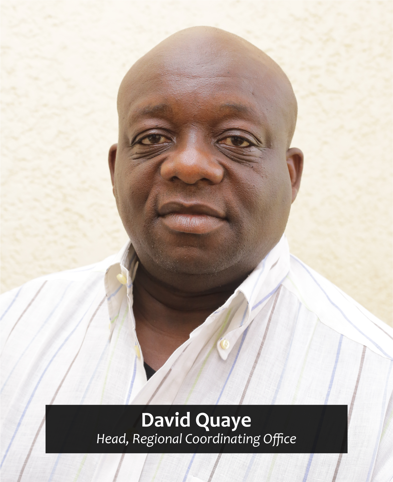 David Quaye
